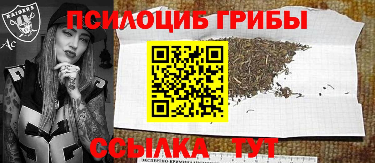 Псилоцибиновые грибы прущие грибы  Вход с VPN  сколько стоит  Советск 